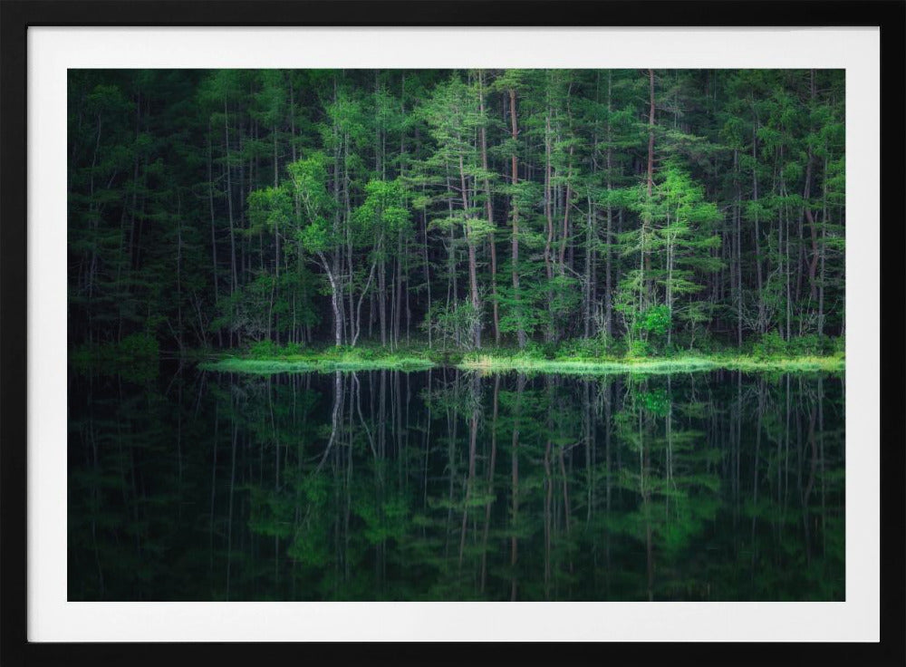 Green World | Poster