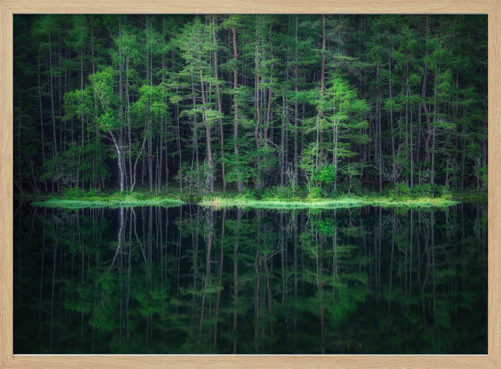 Green World | Poster