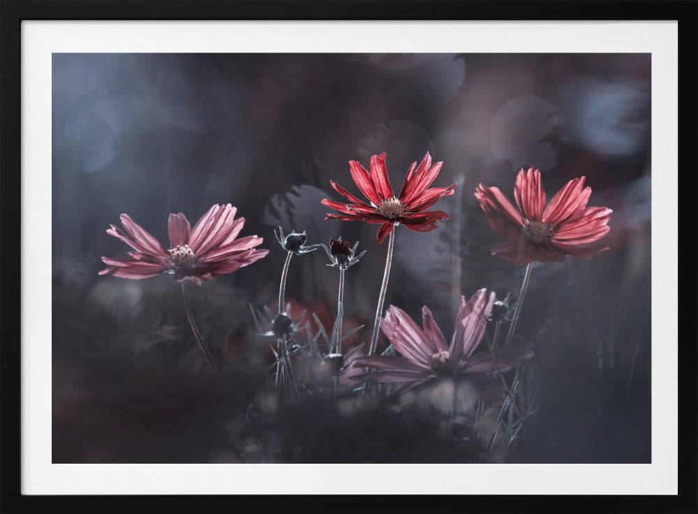 Les fleurs du Bien | Poster