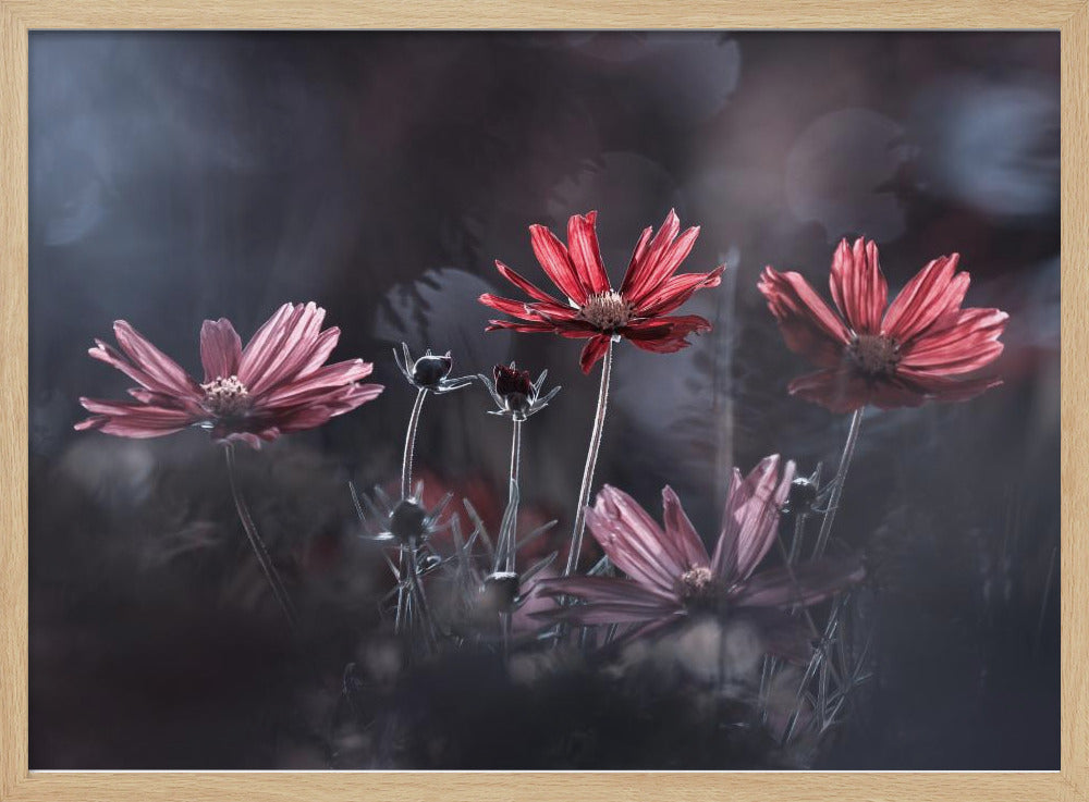 Les fleurs du Bien | Poster