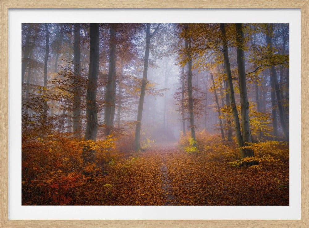 October Trail | Poster