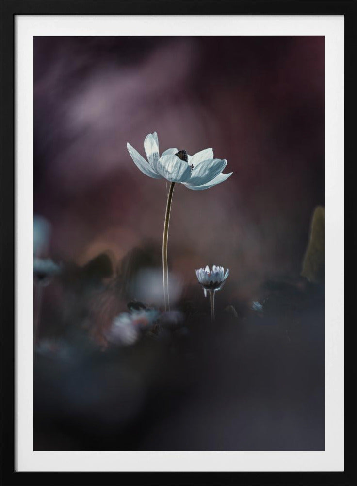 Elles, mes fleurs, émoi | Poster