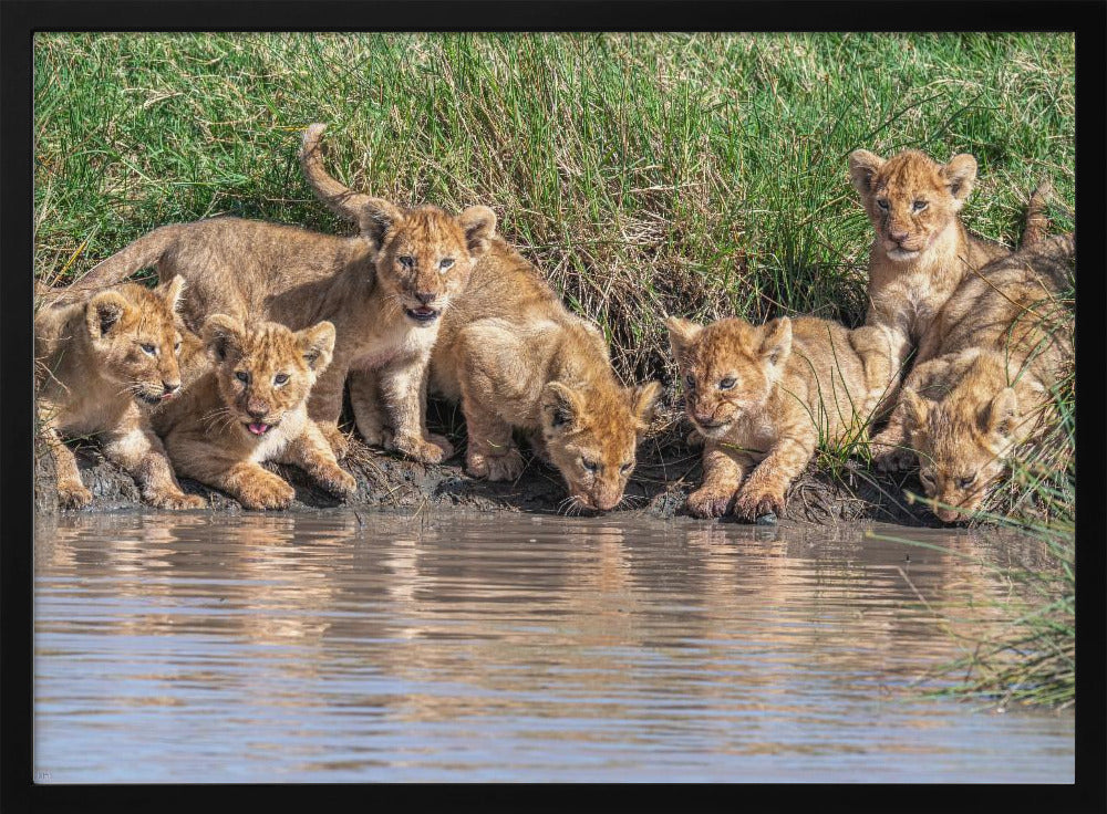 Putting the band back together.... | Poster