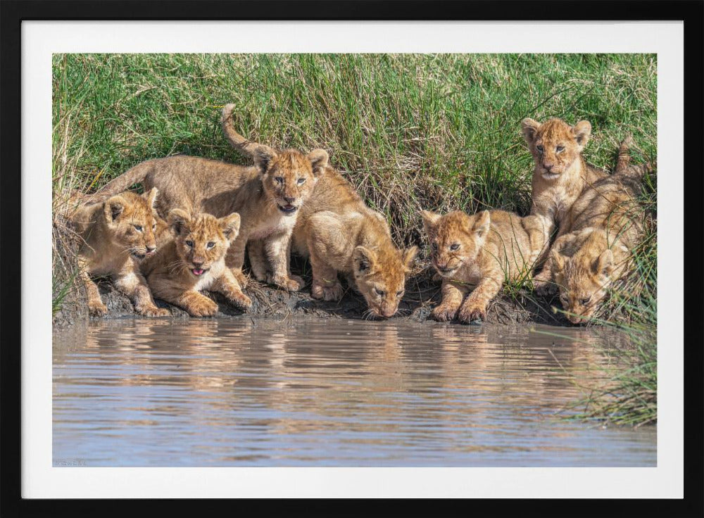 Putting the band back together.... | Poster