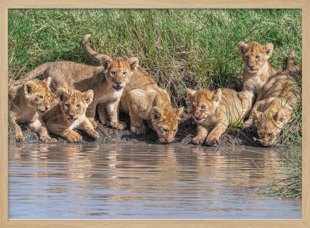 Putting the band back together.... | Poster