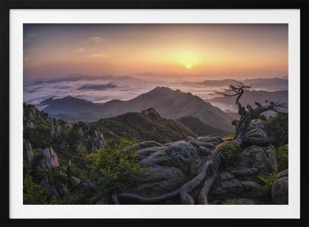 Sunrise on Top | Poster