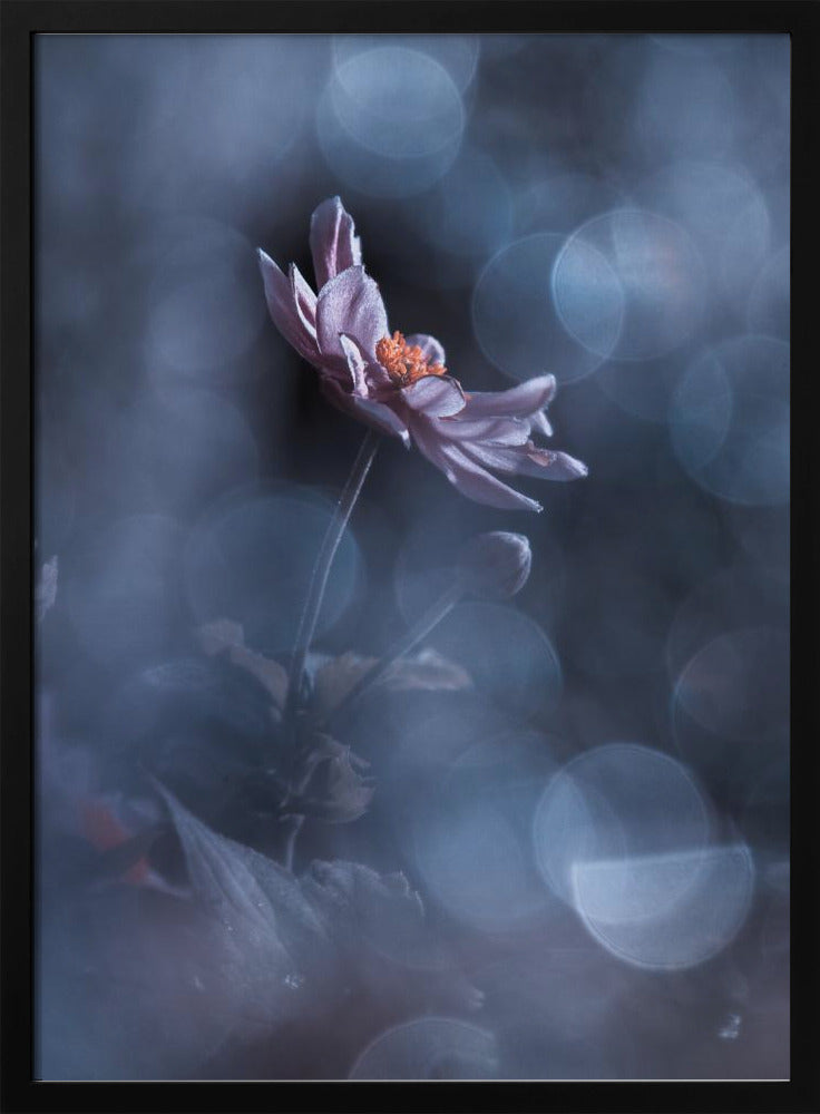 Dancing in the dark | Poster