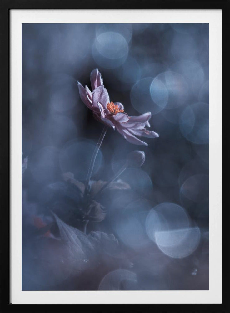 Dancing in the dark | Poster