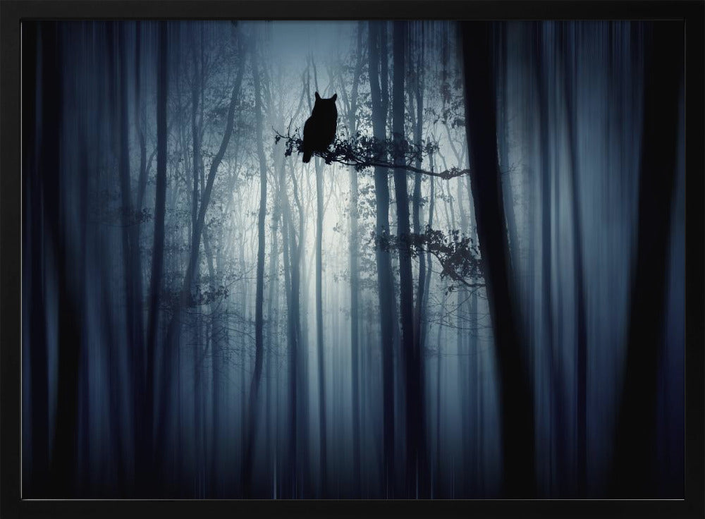 In the forest | Poster