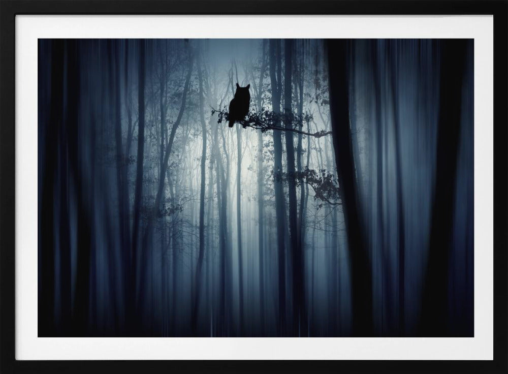 In the forest | Poster