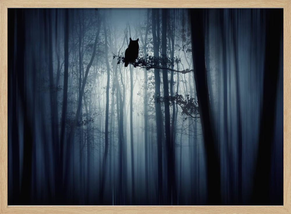 In the forest | Poster