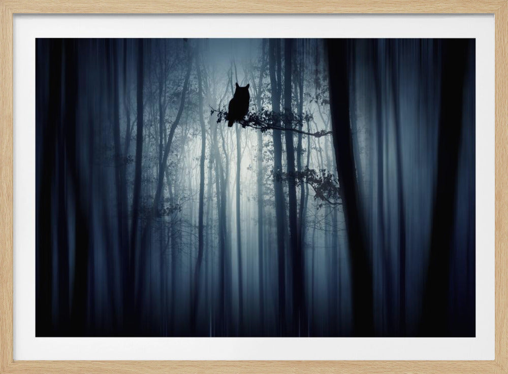 In the forest | Poster