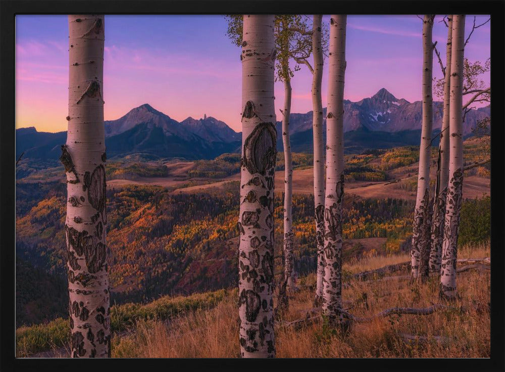 Aspen Frames | Poster