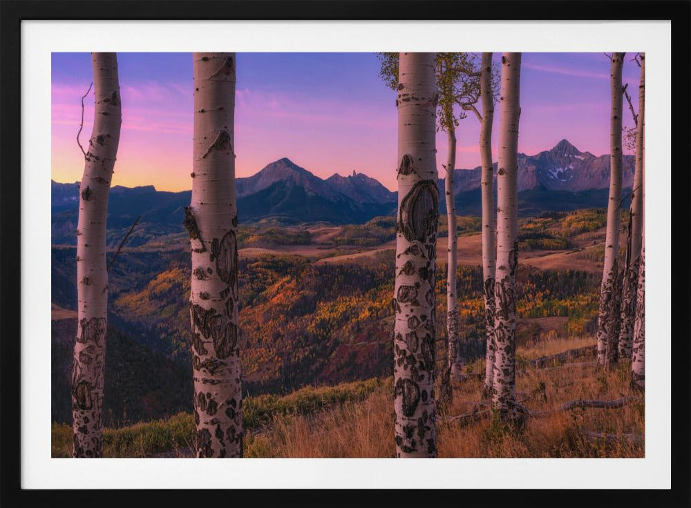 Aspen Frames | Poster