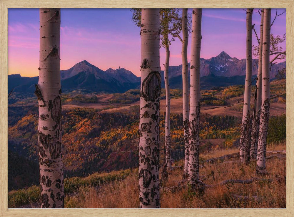 Aspen Frames | Poster