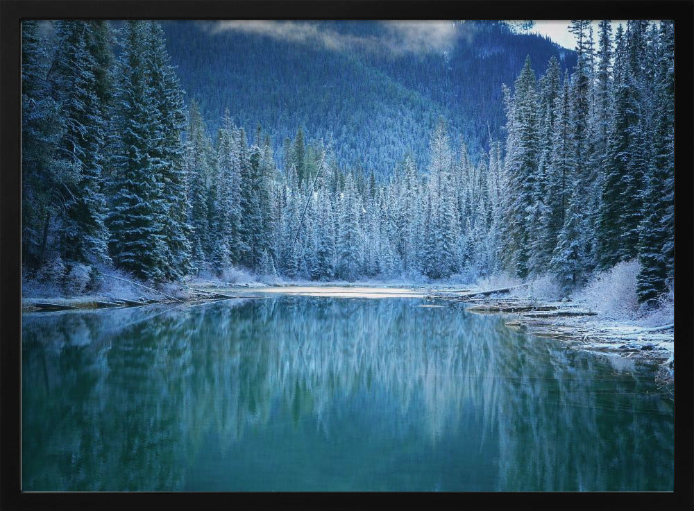 Wonder Winter Land | Poster