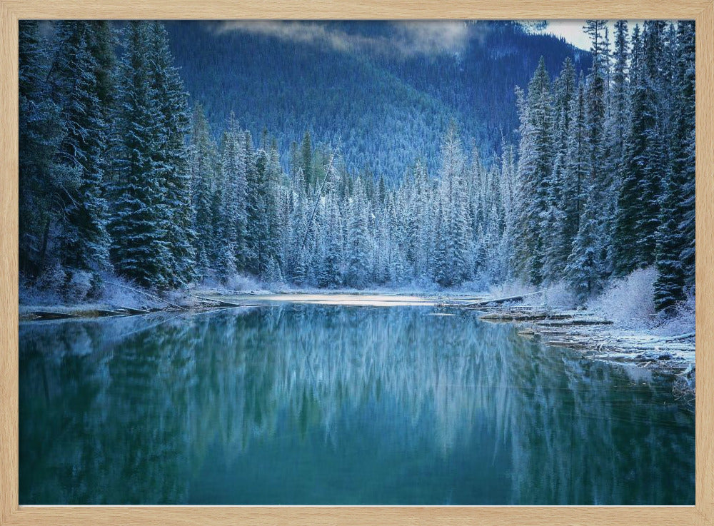 Wonder Winter Land | Poster