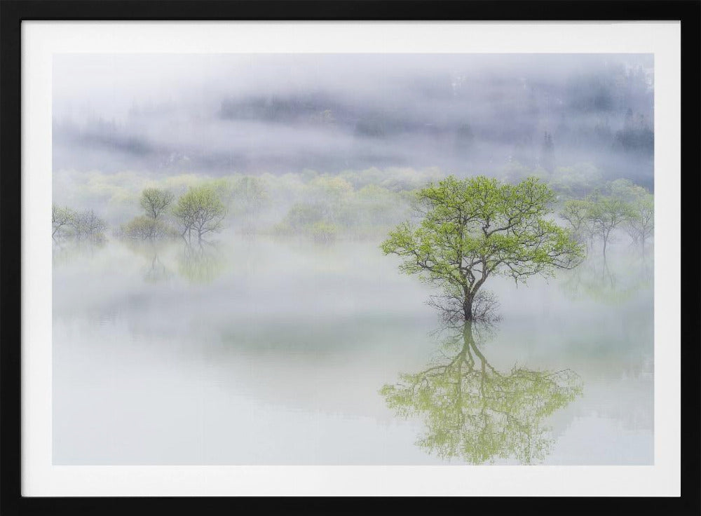 Dreamy tree | Poster