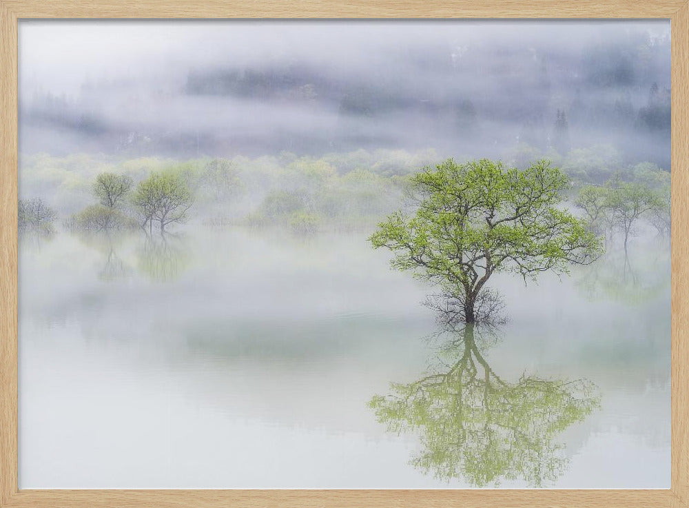 Dreamy tree | Poster