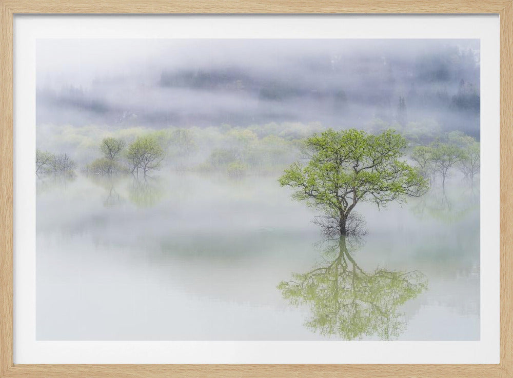 Dreamy tree | Poster