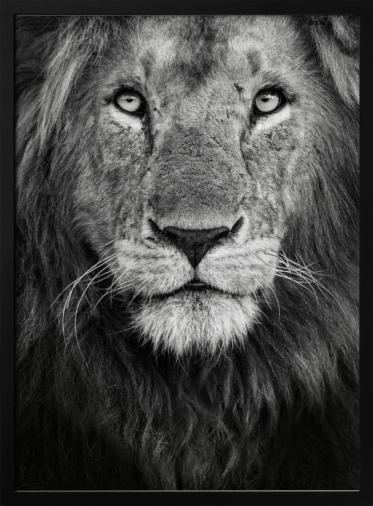 Royal portrait | Poster