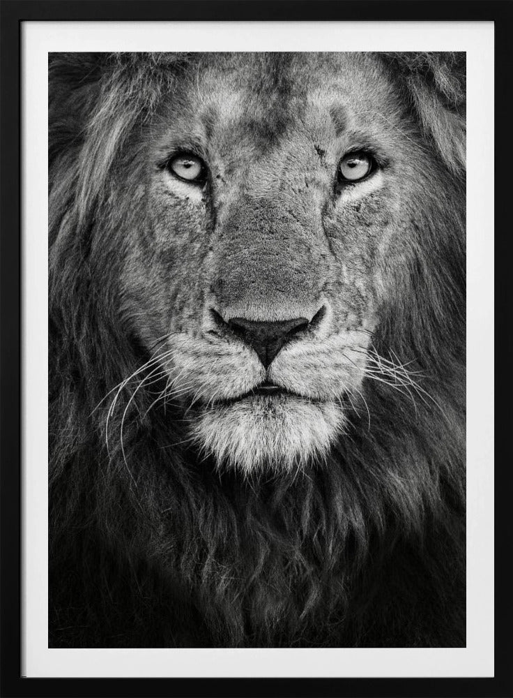 Royal portrait | Poster