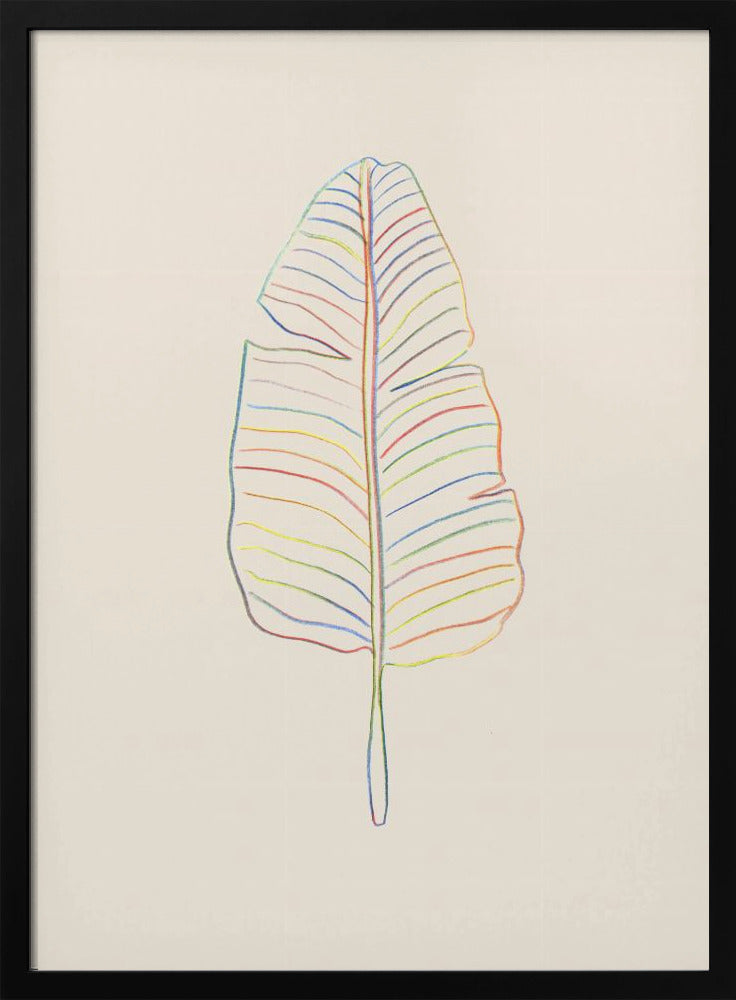 Banana Rainbow Leaf | Poster