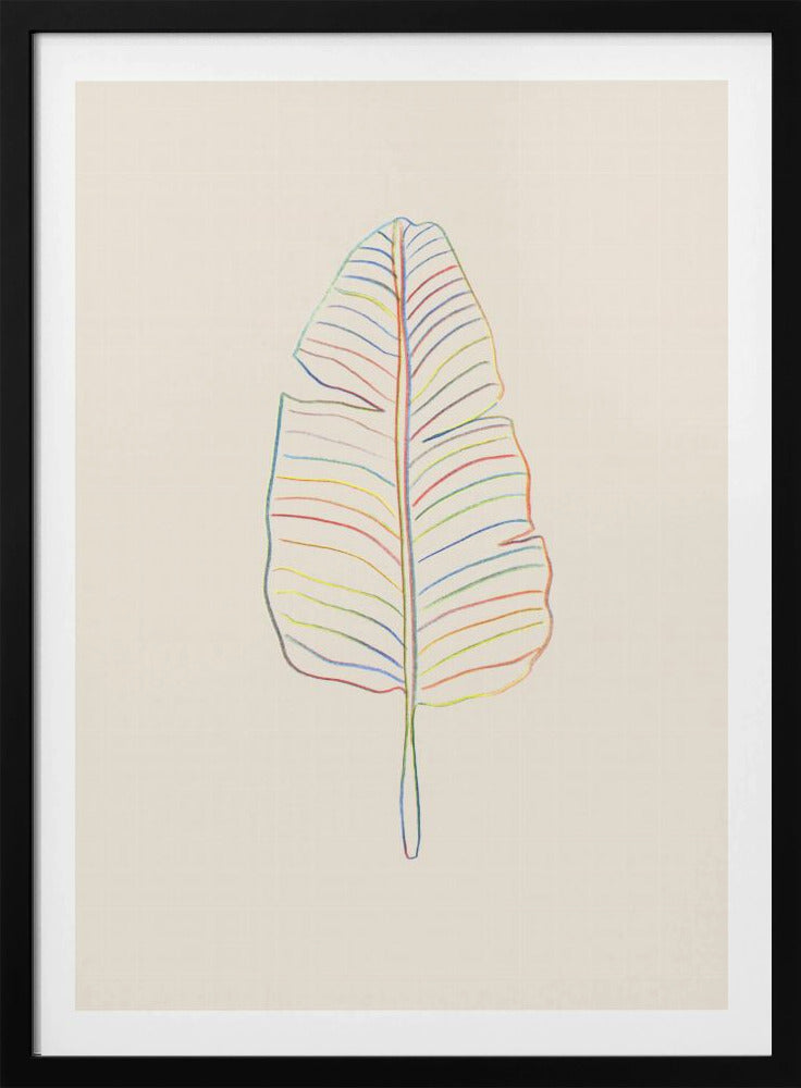 Banana Rainbow Leaf | Poster