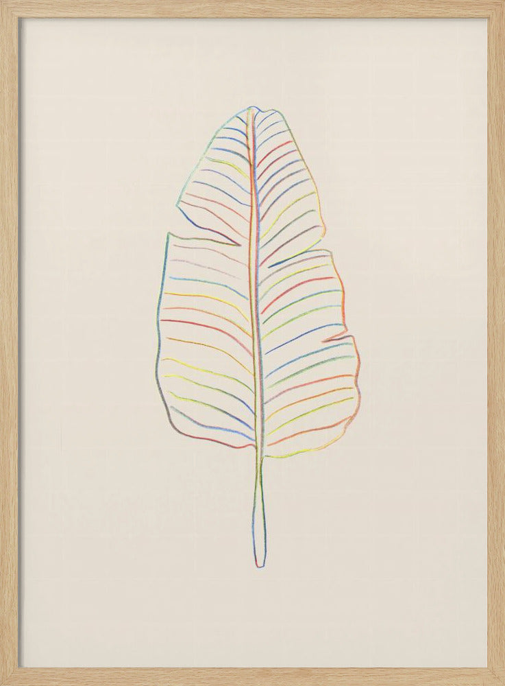 Banana Rainbow Leaf | Poster
