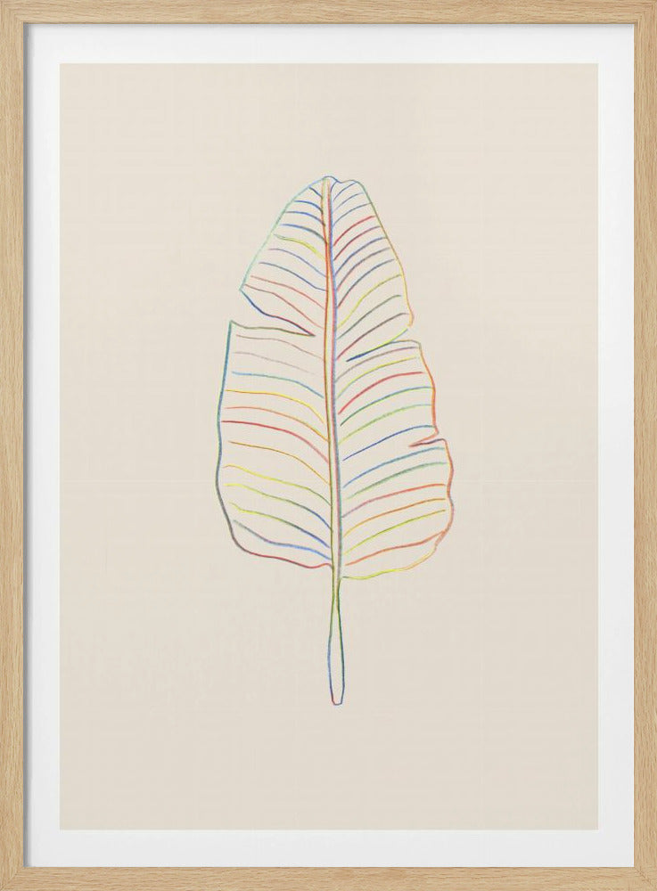 Banana Rainbow Leaf | Poster