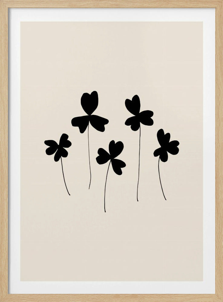 Black Sorrel | Poster