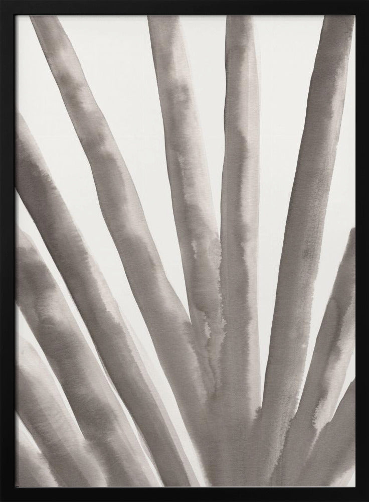 Aloe Vera | Poster