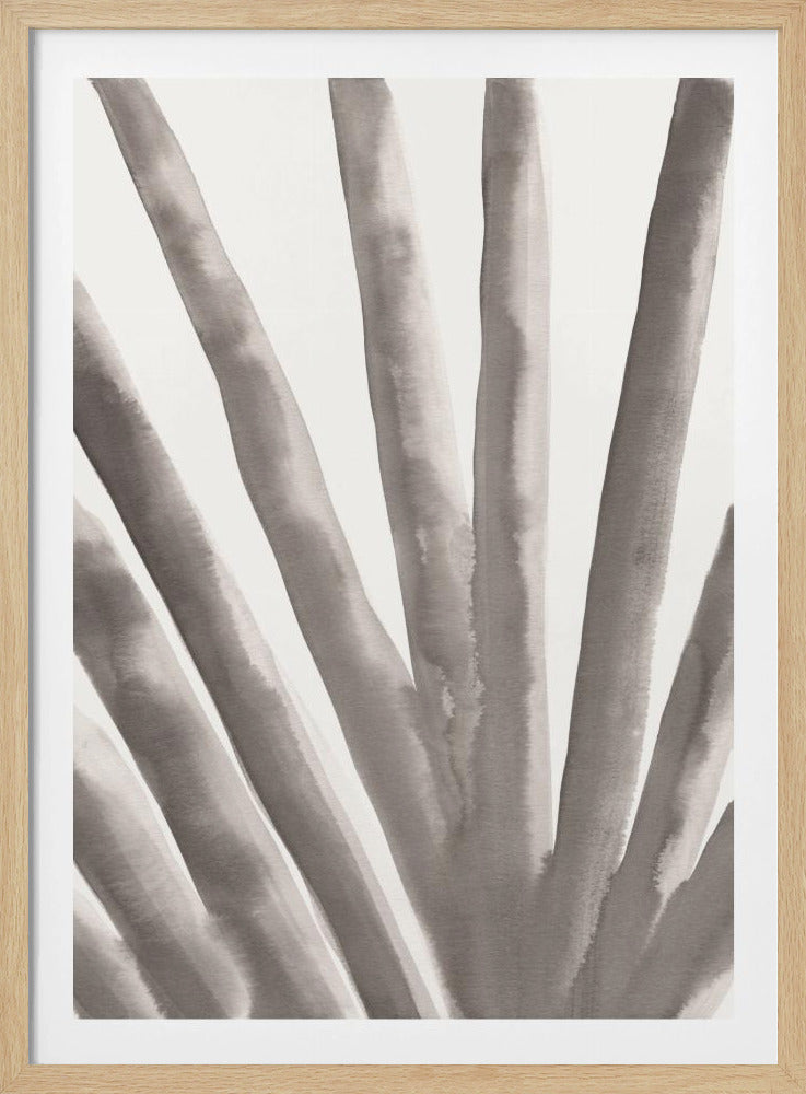 Aloe Vera | Poster