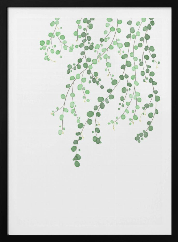 Birch Tree | Poster