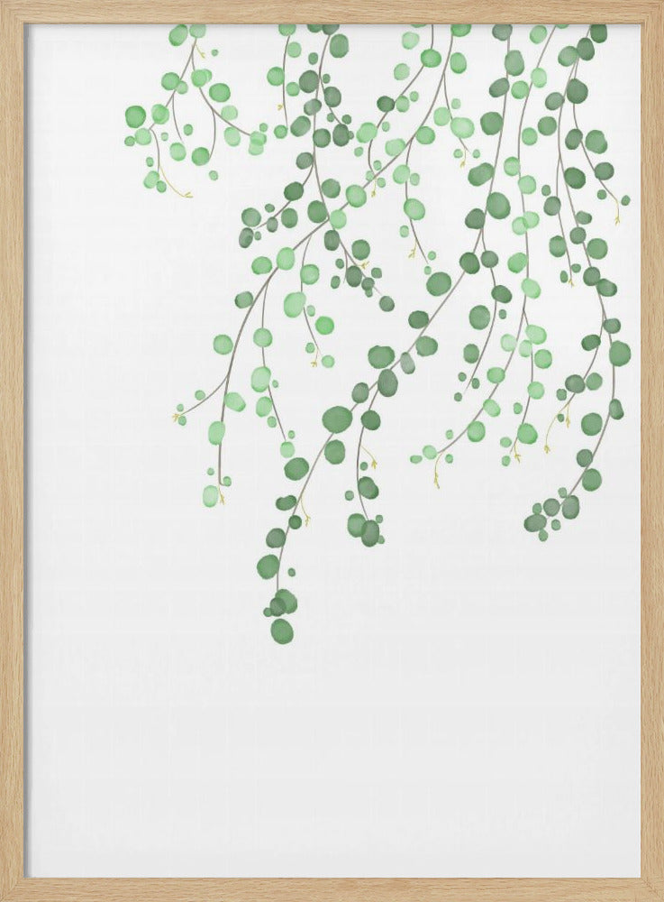 Birch Tree | Poster