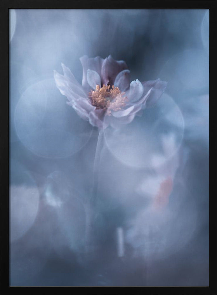 Deep immersion | Poster