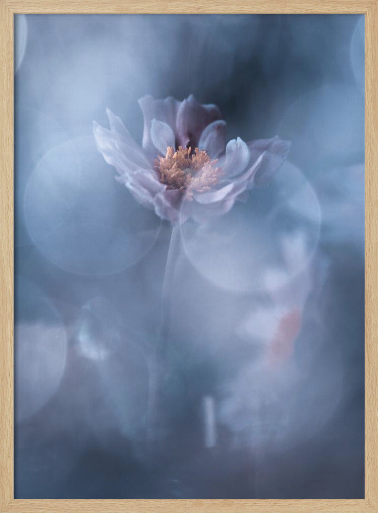 Deep immersion | Poster