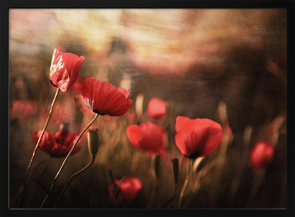 morning air | Poster