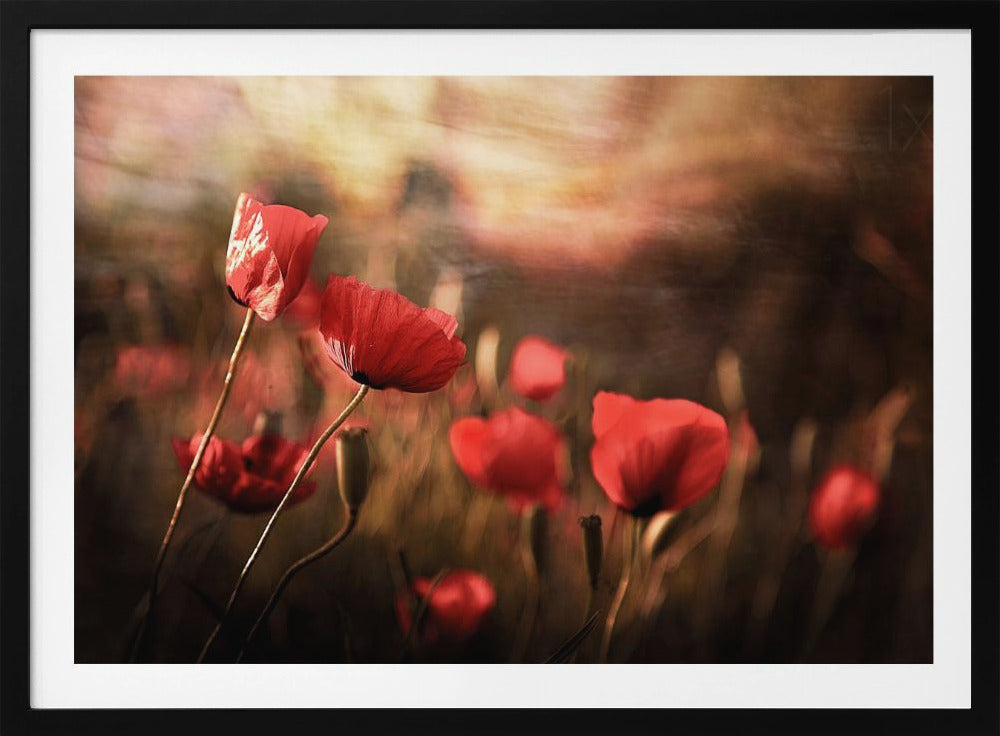 morning air | Poster