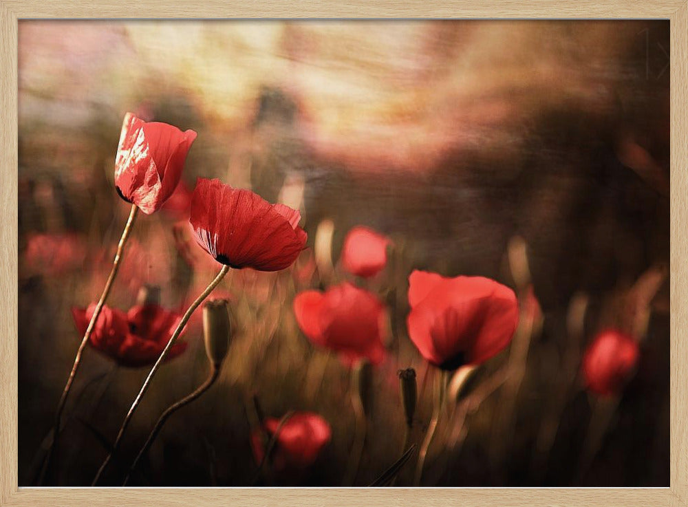 morning air | Poster