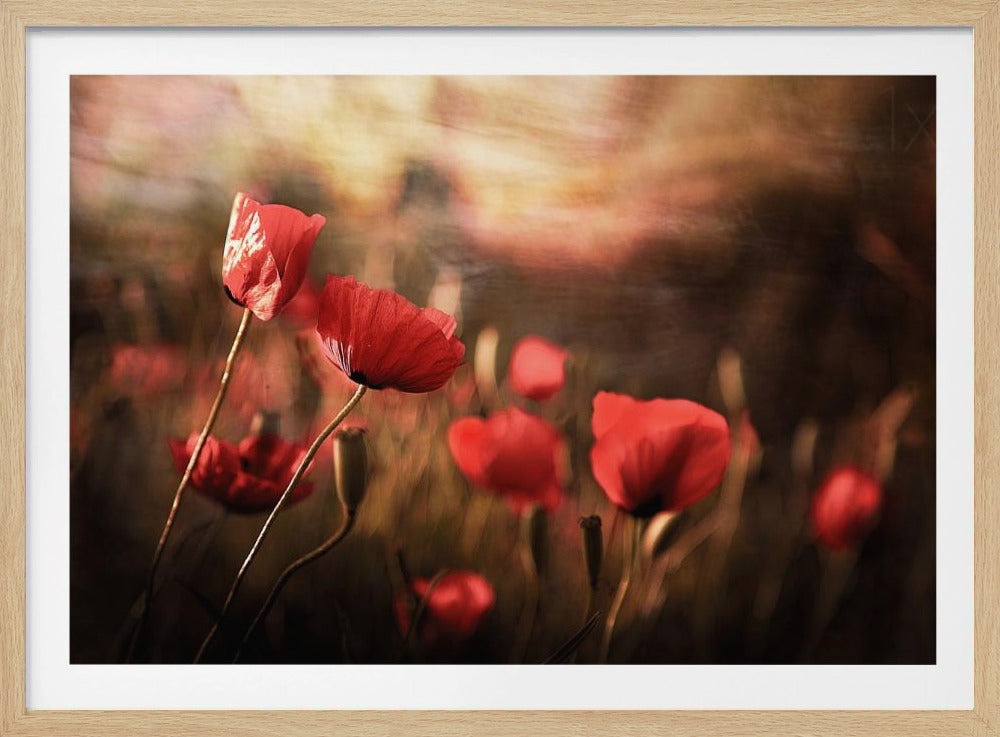 morning air | Poster