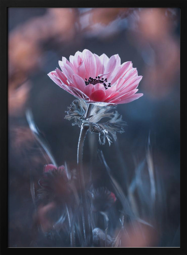 Standing in beauty | Poster