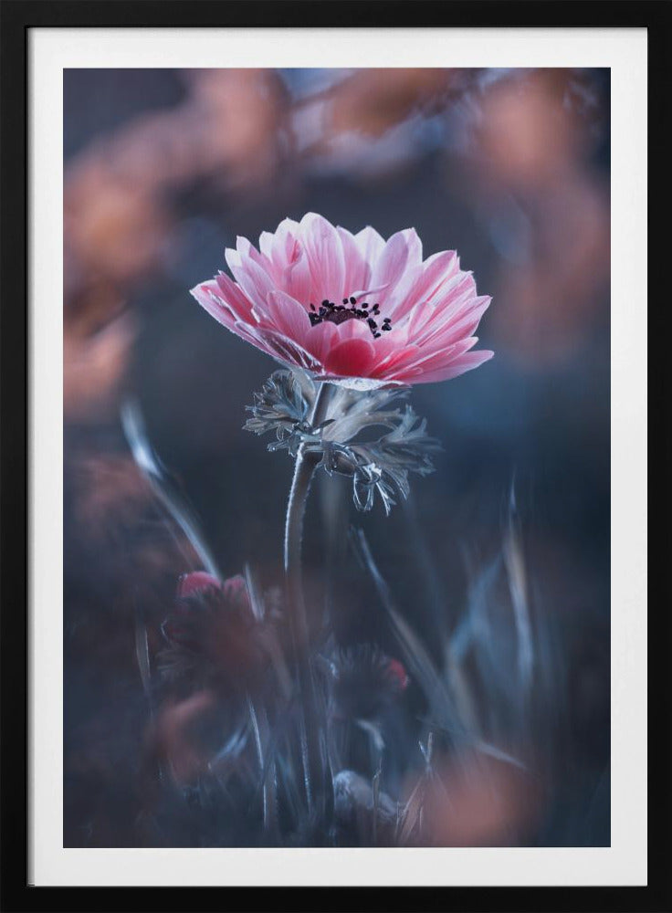 Standing in beauty | Poster