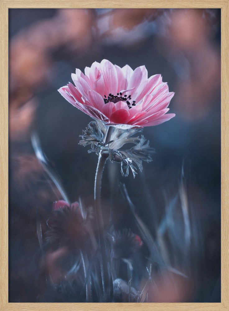 Standing in beauty | Poster