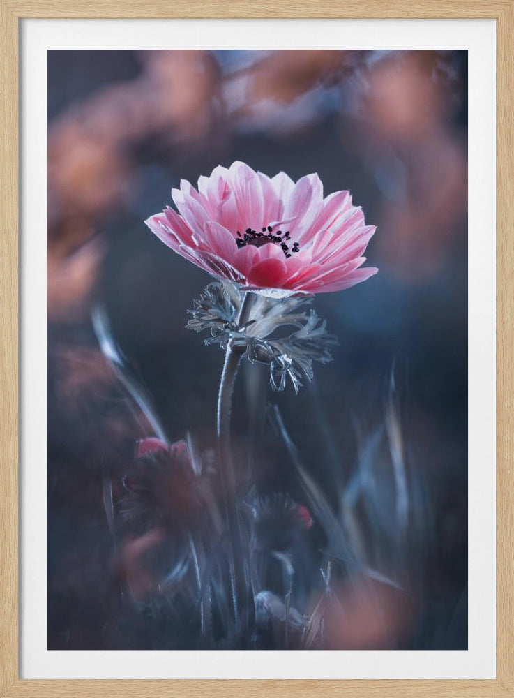 Standing in beauty | Poster