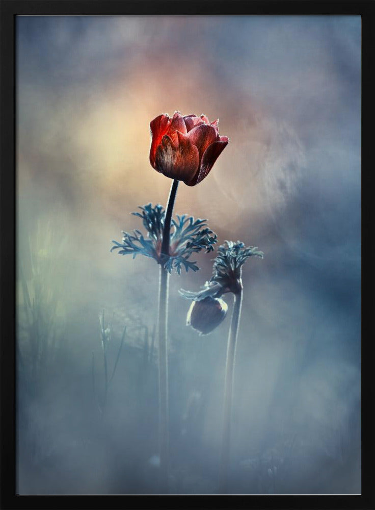 Where poetry and memories remain | Poster