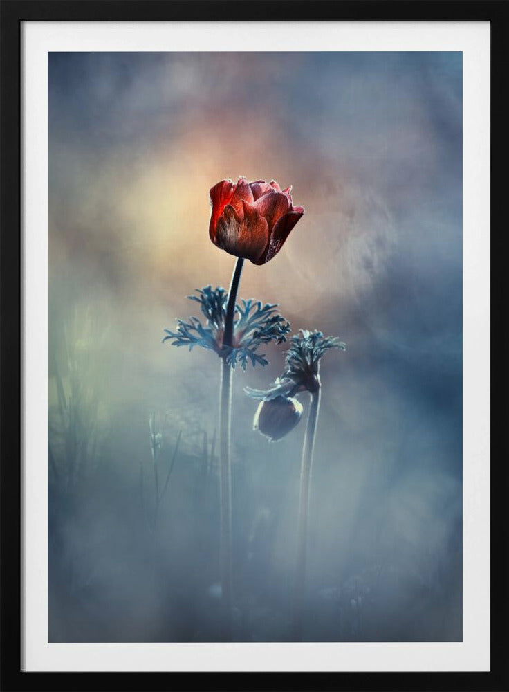 Where poetry and memories remain | Poster