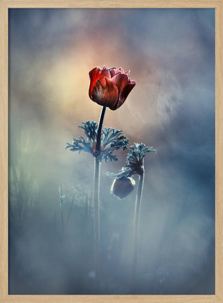 Where poetry and memories remain | Poster