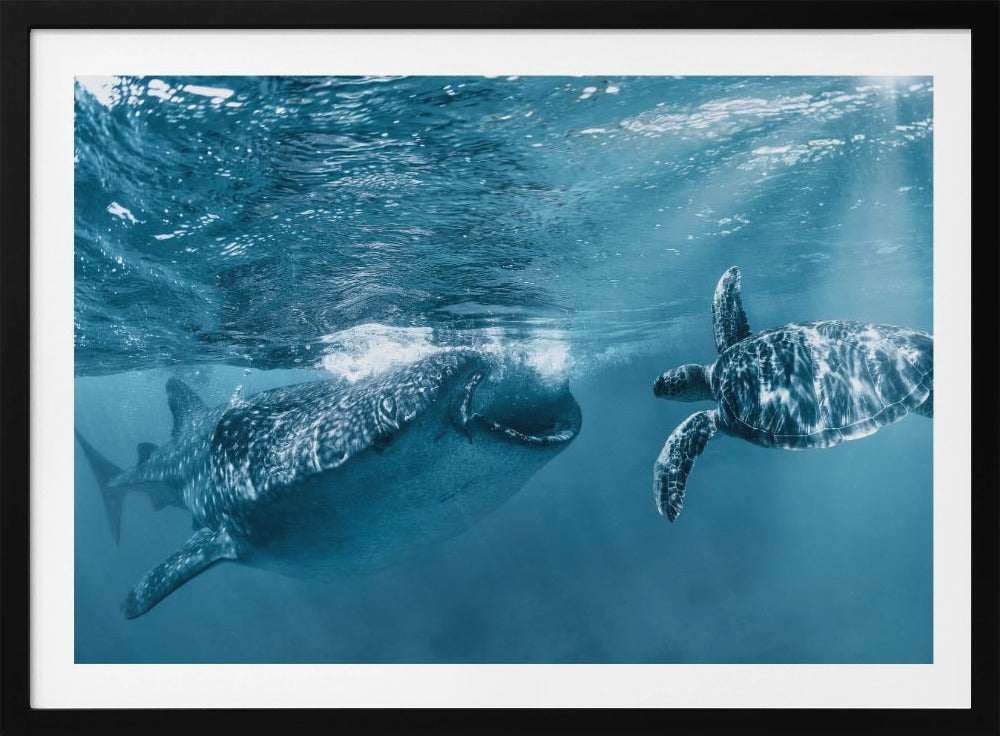 Once at the ocean | Poster