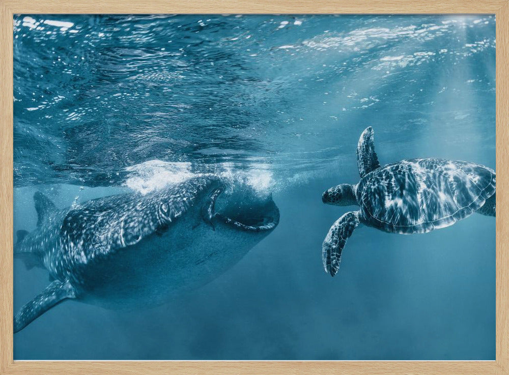 Once at the ocean | Poster